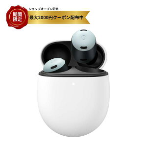O[O Google Pixel Cz Buds Pro Fog GA03203-JP