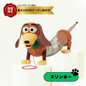 g XL[hbO vgC XL[ 75N pbP[W gCXg[[ fBYj[ sNT[ Ԍ艿i