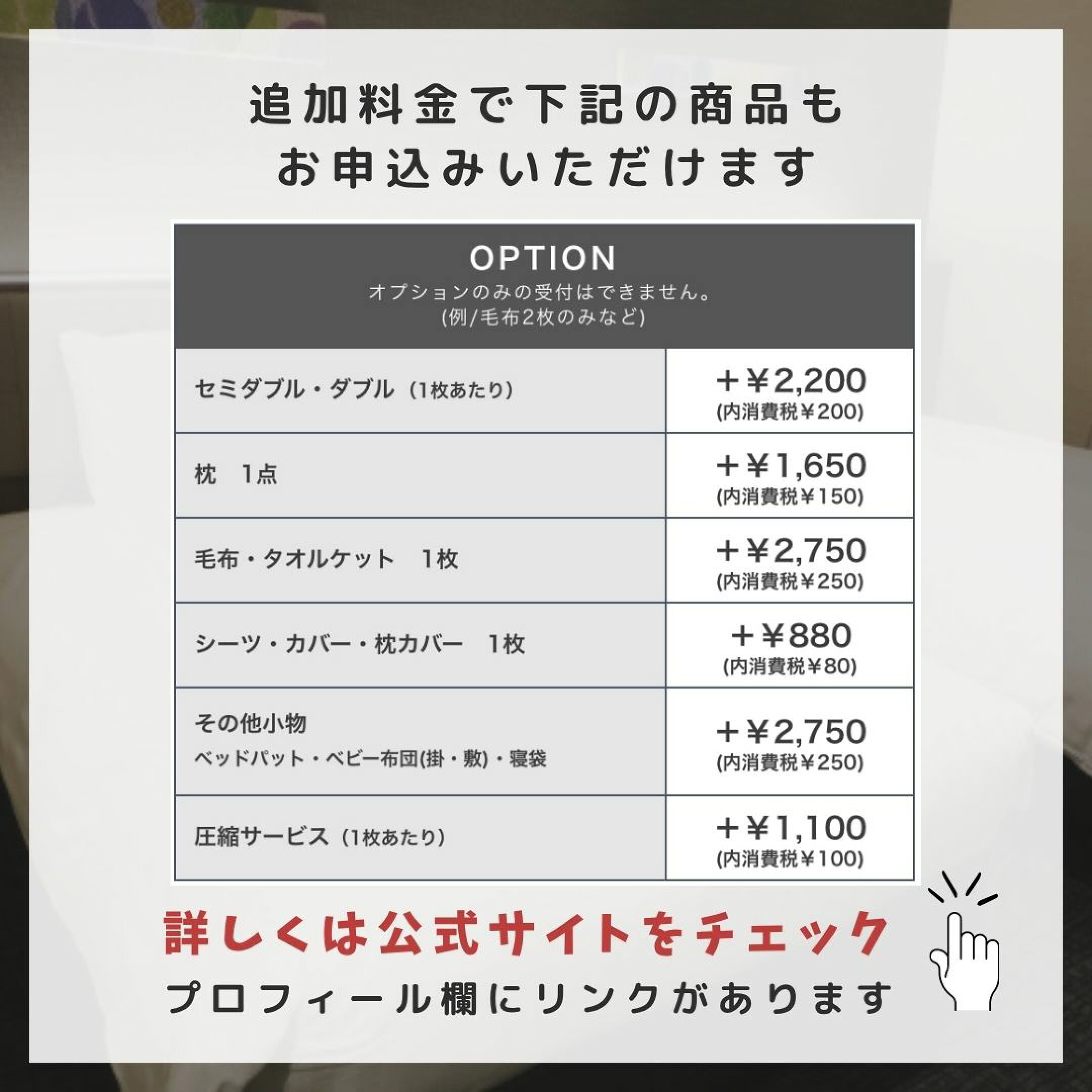 追加料金で多くのオプションも充実