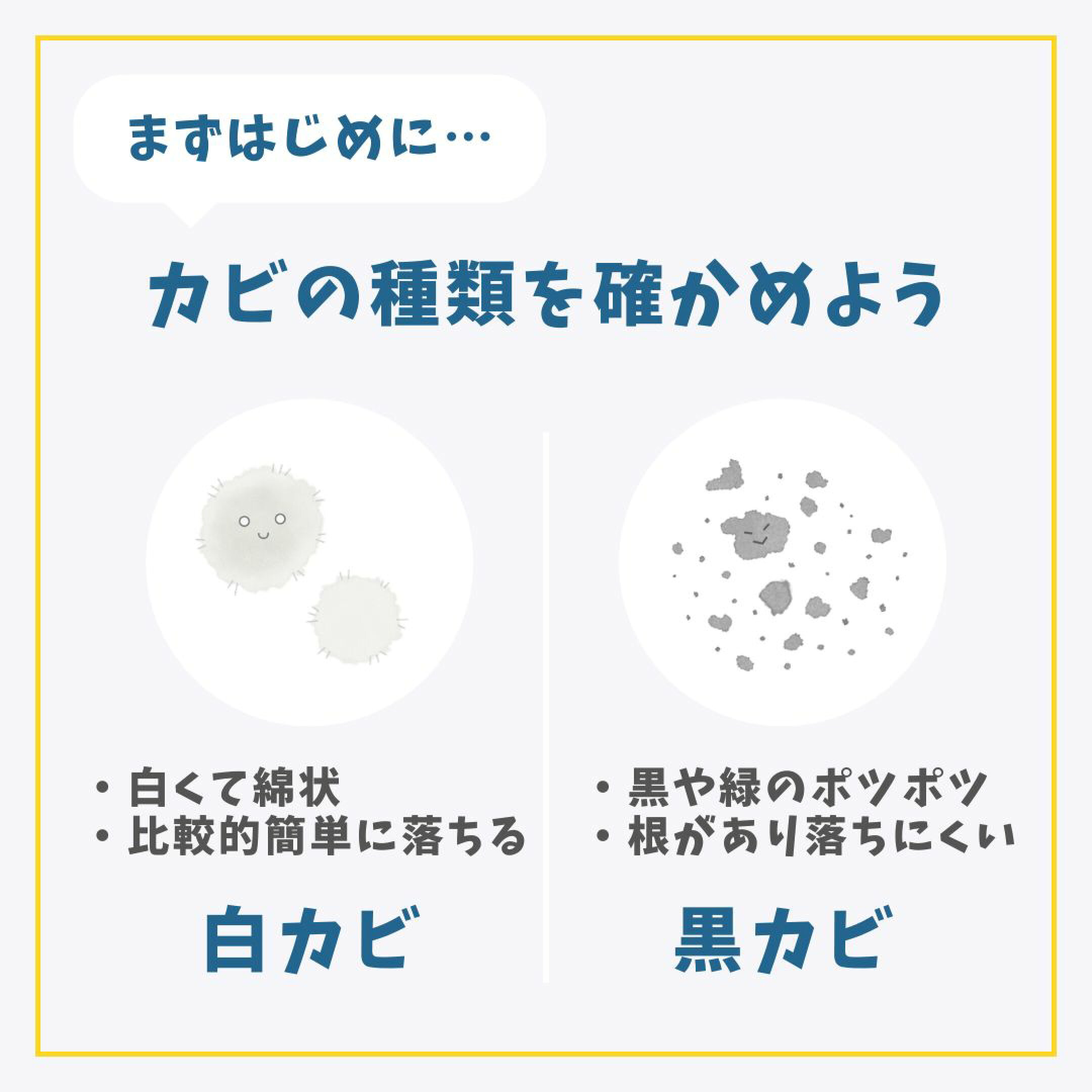 カビの種類を確かめよう