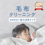 ＼2025年4月度ショップ・オブ・ザ・マンス2年連続受賞／【送料無料】毛布のクリーニング 1枚 丸洗い 送料…