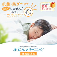 布団クリーニング 保管なし 2枚 敷布団 送料無料 宅配 ふとんクリーニング 敷き布団 布団 丸洗い ふとん…