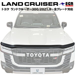 y݂J܎܁zN300 oOK[h JX^ p[c  g^ TOYOTA hN[U[ {tt I[XgA GR ZX VX GX