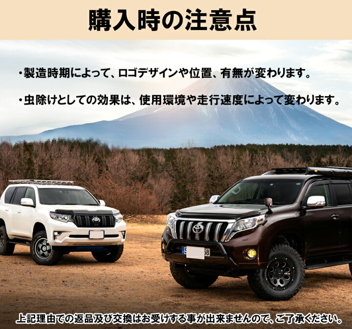 楽天市場】【みんカラ大賞受賞】エクストレイル T31 バグガード 
