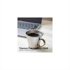 Z[Z[ oCNpi ANZT[ ̑(ANZT[)}[xbN Jf nhS[hMAVERICK MVTC-CA-G i