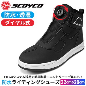 y݌ɗLzfB[XhCfBOV[YSCOYCO(XRCR)JWA oCN  22cm`29cm WptBbgf MT074WP(JP FIT)_C fitgo Xj[J[ X c[O