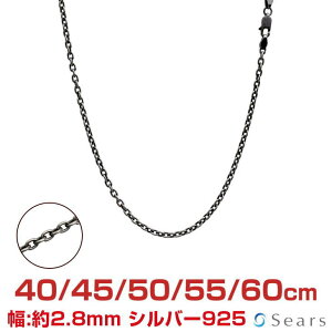モード ネックレス メンズの人気商品 通販 価格比較 価格 Com