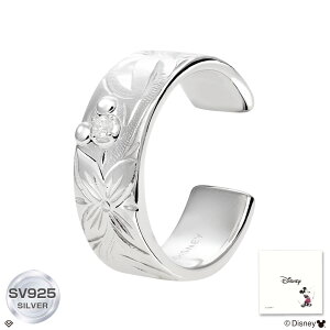 NXeB[ nCAWG[ fBYj[ RNV C[Jt le58-0004 LARA Christie u~bL[v