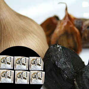 XY nɂɂ iMTCY×6j×2