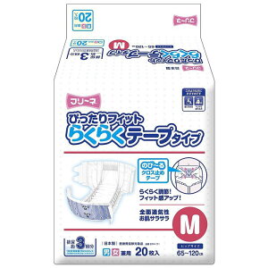 t[l ҂tBbg 炭炭e[v^CvM20DTP-171×8