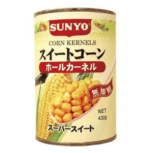 T[@XC[gR[z[ičj4×24