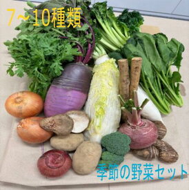 【クール便発送】季節の野菜セット