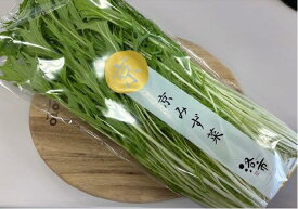 洛市　みず菜　1束　【野菜セット同梱で送料無料】みずな　ミズナ　水菜