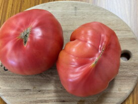 トマト　1個　大きめ　【野菜セット同梱で送料無料】とまと