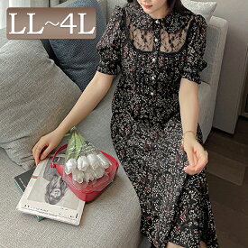 楽天市場 シアー ピンタック ワンピースの通販