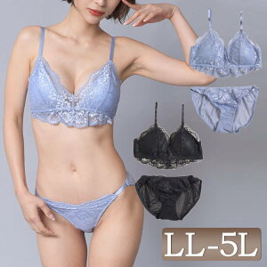 �傫���T�C�Y���f�B�[�X �C���i�[ ���� �Z�b�g �u���W���[ �V���[�c �t�����[���[�X�u�����b�g�u�����V���[�c�Z�b�g �m�����C���[ �u�� �J�� �Z�N�V�[ ���[�X �t���� �����W�F���[ �L�k ��