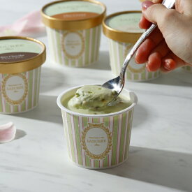 【LADUREE 公式】 ラデュレ アイス & ソルベ 8個入り スイーツ マカロン マカロンアイス お菓子 洋菓子 プレゼント お返し 手土産 ギフト 贈り物 詰め合わせ お中元