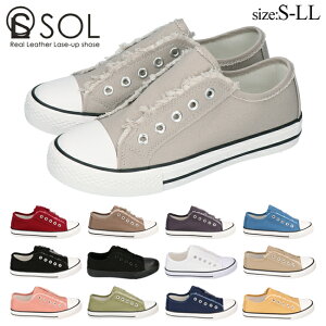 y15.16N[|5%OFFzXb| Xj[J[ fB[X RȂ ₷ ₷ Ȃ [Jbg y  킢 ꂢ Vv SOL \ 19746 ʊw ʋ i 