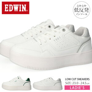 y10/10 N[|5%OFFzGhEB Xj[J[ fB[X  ₷ Ȃ ₷ y [Jbg  킢 ꂢ EDW-4317  R[gXj[J[ ʋ ʊw Cy2408
