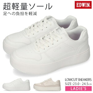 y11/10N[|5%OFFzGhEB Xj[J[ fB[X [Jbg y  Ȃ ₷ ₷ EDW4324  킢 ʋ ʊw C ʊwC Xj[J[ V[Y C