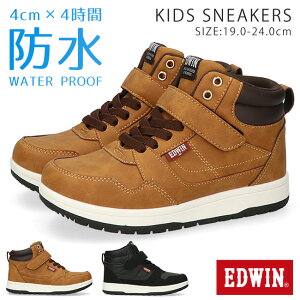 y11/25N[|5%OFFzGhEB Xj[J[ LbY j̎q ̎q h nCJbg ₷ ₷ Ȃ  킢 y y xN }WbNe[v EDW-3679 ʊw q