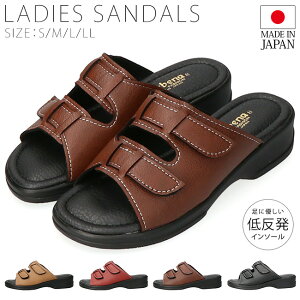 yԌN[|zfB[X T_ Xgbv ₷ ₷ Ȃ ɂȂ EȂ _炩 L ᔽ I[vgD Ɩy xN  R