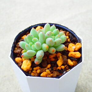 Xm[WFCh@Z_@A@T{e@AKx@򍪐A@[tHrA@񂹐A@CeA@ϗtA@@G