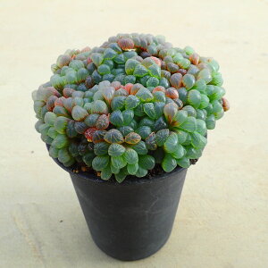 ΁yQz@nI`A@t@A@T{e@AKx@򍪐A@[tHrA@񂹐A@CeA@ϗtA@@G