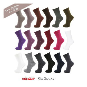 CONDOR Rh u \bNX y[J[KizLbY ǂ C u҂ 14cm24.5cm Rbg  lC ₷ w ct LbYt@bV  w wZ  ubN  