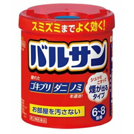 【第2類医薬品】バルサン　20g