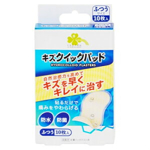 くらしリズム キズクイックパッド ふつうサイズ 10枚入り