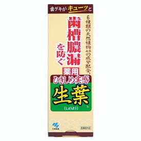 【医薬部外品】小林製薬　ひきしめ実感 生葉　100g