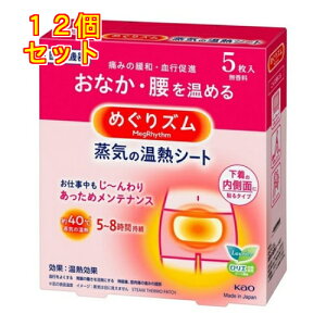 ԉ@߂Y@C̉MV[g@̓ʂɓ\^Cv@5×12