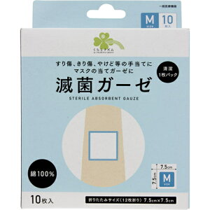 炵Y@ŋۃK[[@MTCY@10