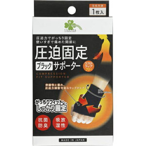 炵Y@ŒT|[^[@p@Eʁ@ubN@t[@1