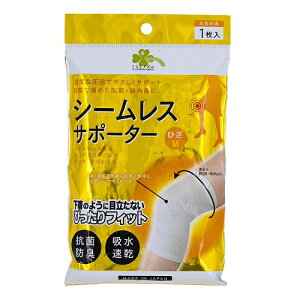 炵Y@V[XT|[^[@Ђp@Eʁ@M@1