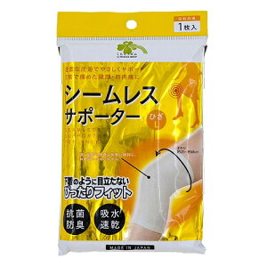 炵Y@V[XT|[^[@Ђp@Eʁ@L@1