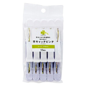 炵Y@vۍHƁ@ƃLb`s`@10×2