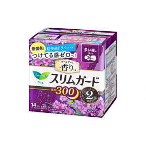 y򕔊Oizԉ@G@XK[h@x_[@300@14R