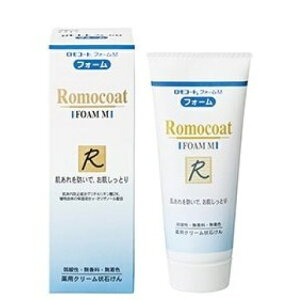 y򕔊OizR[g@tH[M@100g񂹏i@ԕis