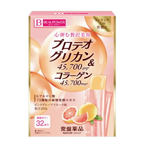 ֖i@r[p[@veIOJER[Q[[@sNO[vt[ci10g×32{j񂹏i@ԕis