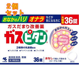 【第3類医薬品】ガスピタン　36錠×2個