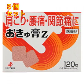 【第3類医薬品】ゼリア新薬　おきゅ膏Z　120枚【セルフメディケーション税制対象】×5個