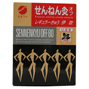 Ni˂񋄁jIt@M[イɐ@80_