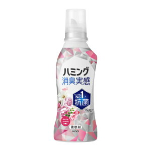 ԉ@n~OL@[Yt[@{́@510ml