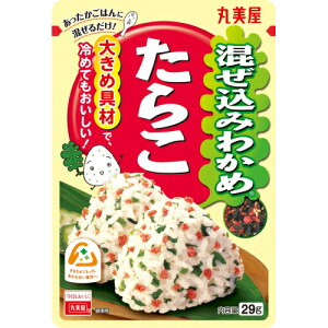 ۔@݂킩߁@炱@29g×10