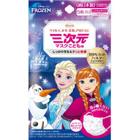 三次元マスク　アナと雪の女王　こども用サイズ　5枚※取り寄せ商品　返品不可