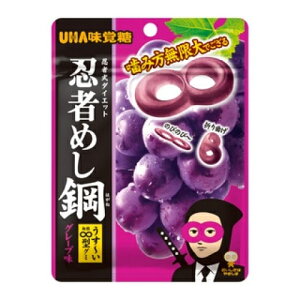 UHA味覚糖 忍者めし鋼 グレープ味 45g×10個
