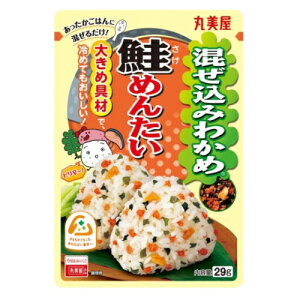 ۔@݂킩߁@߂񂽂@29g×10