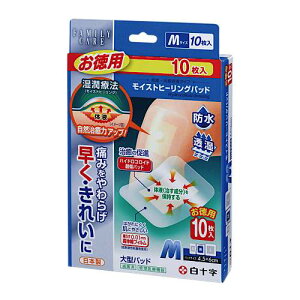 \@FC@CXgq[Opbh@M@p@10